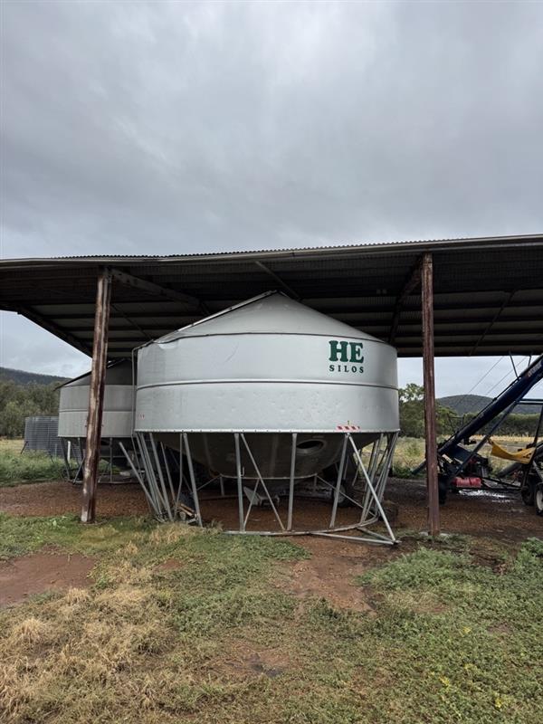 Image 2026 03 06T133538.625